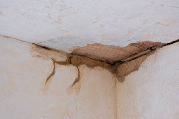 Best Professional water damage repair  in Justin, TX