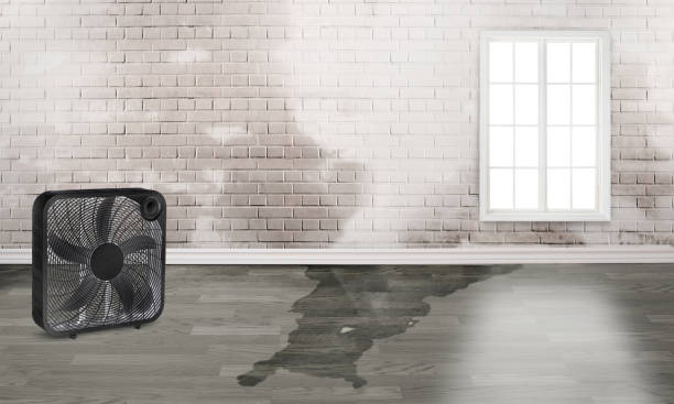 Best 24/7 water damage repair  in Justin, TX