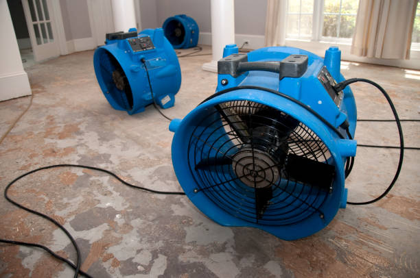 Best Professional water damage repair  in Justin, TX