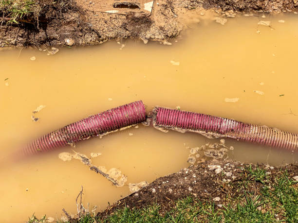 Reliable Justin, TX Water damage restoration Solutions