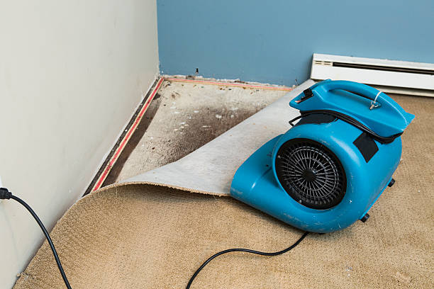 Best Residential water damage restoration  in Justin, TX